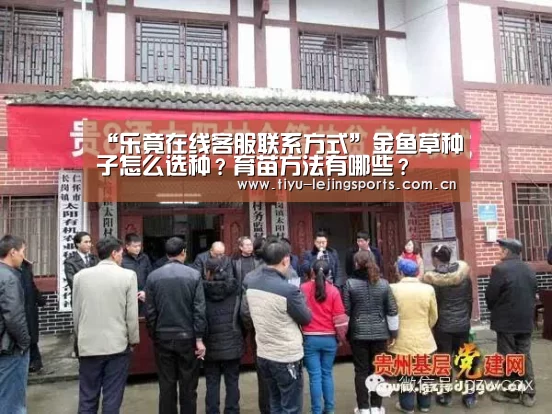 “乐竟在线客服联系方式”金鱼草种子怎么选种?育苗方法有哪些?(图2) 乐竟官网注册