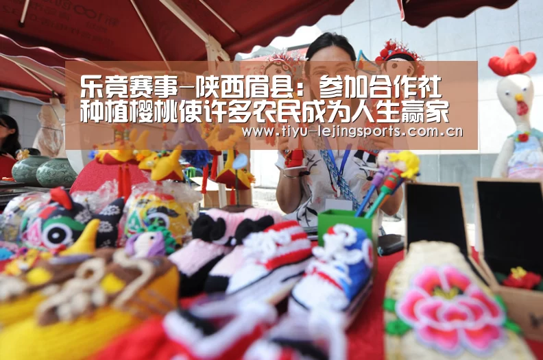 乐竟赛事-陕西眉县：参加合作社种植樱桃使许多农民成为人生赢家