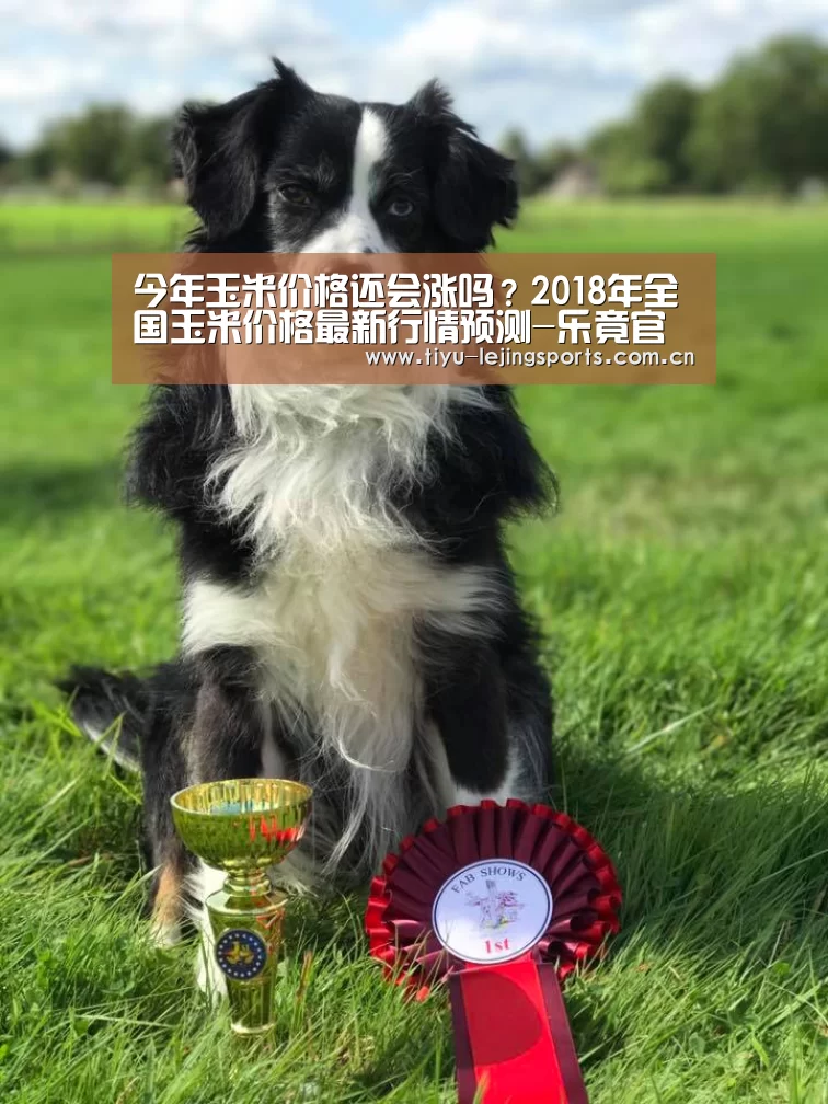 今年玉米价格还会涨吗?2018年全国玉米价格最新行情预测-乐竟官网注册(图3) 乐竟体育app