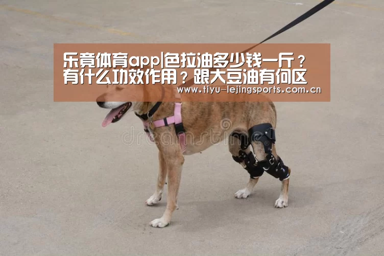 乐竟官网注册
