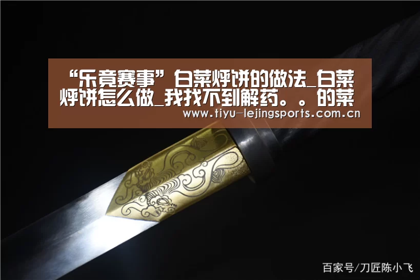 “乐竟赛事”白菜烀饼的做法_白菜烀饼怎么做_我找不到解药。。